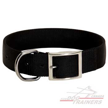 Dog Nylon Collar for Regular Walks