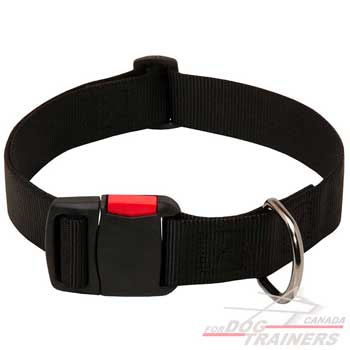 Dog Nylon Collar with D-ring for Fast Lead Attachment