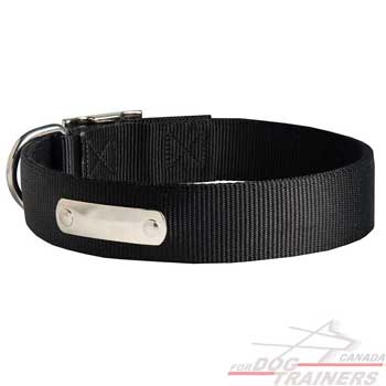 Dog Collar Nylon For Easy Identification