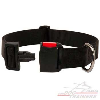 Nylon Dog Collar with Simple in Use Quick Release Buckle