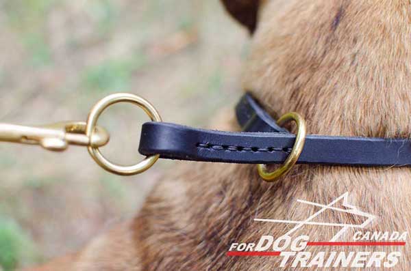 Dog choke collar with attachment for training