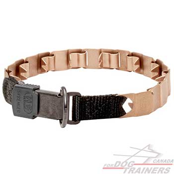 Dog training durable collar