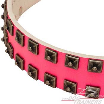 Decorated dog collar with  nickle-plated pyramids