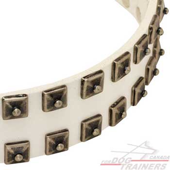 Decorated dog collar with nickle pyramids