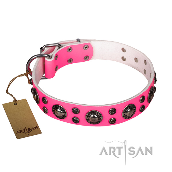 Significant full grain genuine leather dog collar for handy use