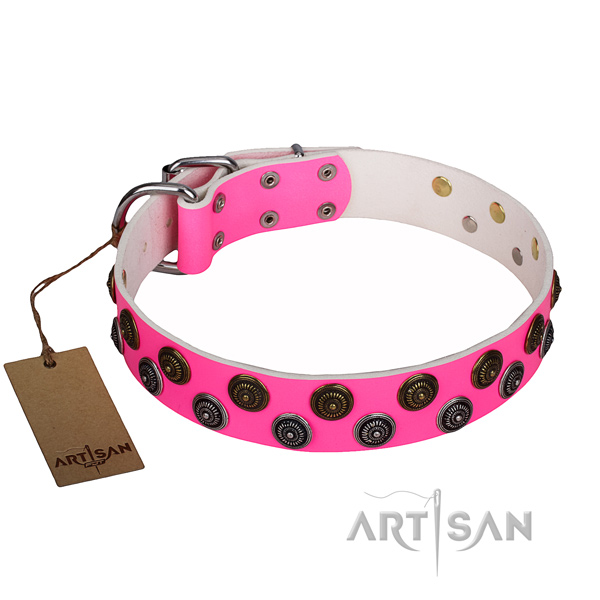 Walking genuine leather collar with decorations for your four-legged friend
