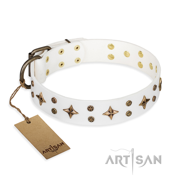 Fashionable leather dog collar for stylish walking