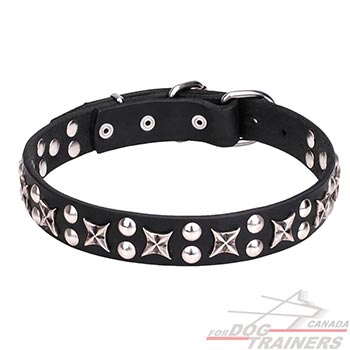 Leather Dog Collar with Chrome Plated Decorations