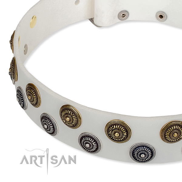 Genuine leather dog collar with extraordinary adornments