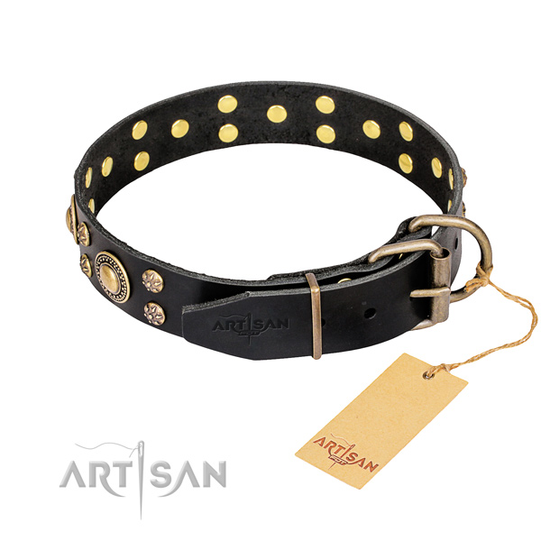 Daily walking genuine leather collar with studs for your canine