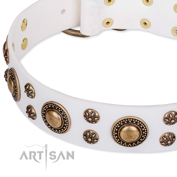 Natural genuine leather dog collar with impressive adornments
