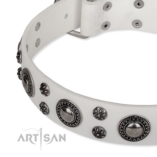 Everyday walking full grain genuine leather collar with corrosion resistant buckle and D-ring