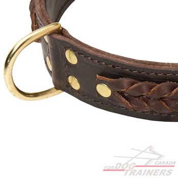 Dog leather collar decorated with braids