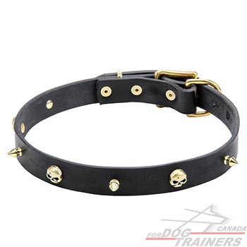 Leather collar