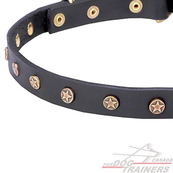 Leather dog collar with brass decorations