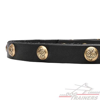 Leather dog collar with brass decorations