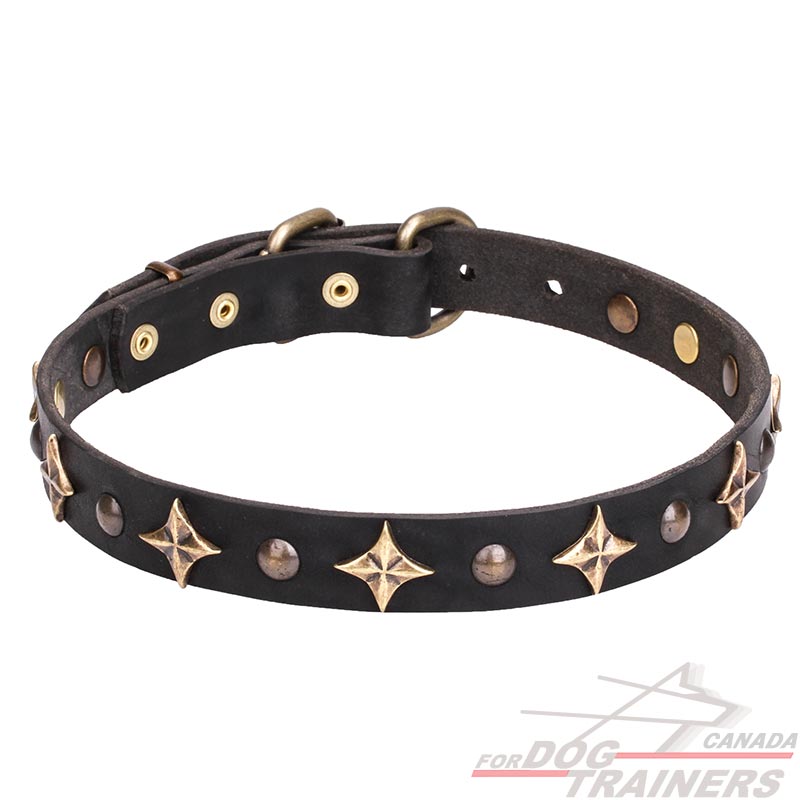Bronze dog leather sale