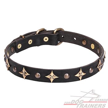 Durable leather dog collar with bronze plated decorations