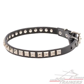 Full grain natural leather dog collar with studs