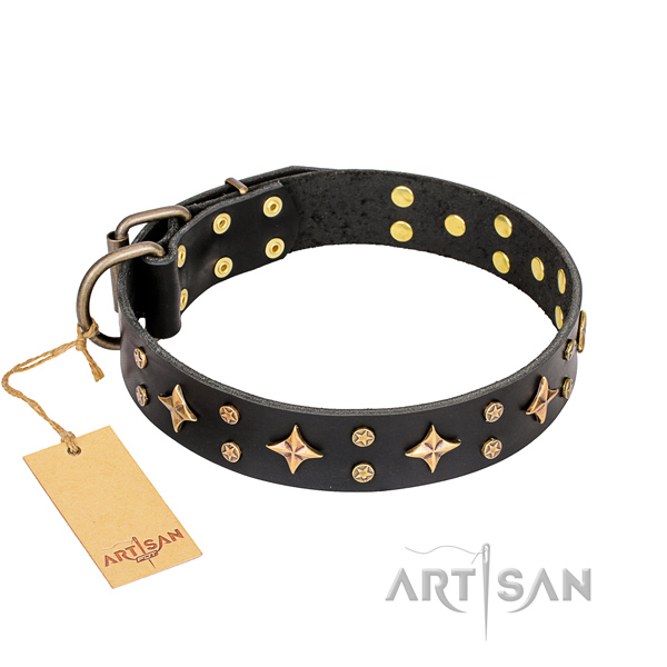 Inimitable full grain genuine leather dog collar for daily walking
