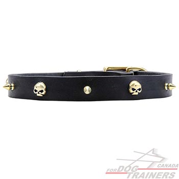Brass decoration for elegant leather dog collar