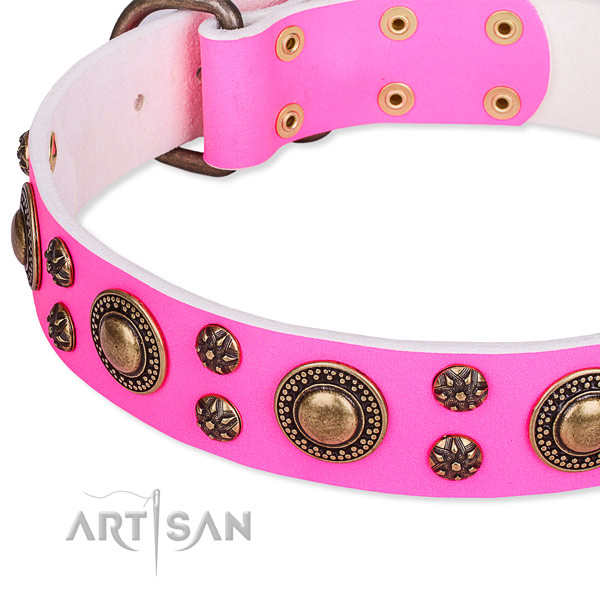 Natural genuine leather dog collar with unique studs