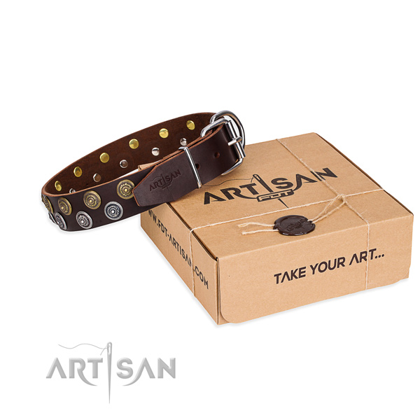 Full grain genuine leather dog collar with embellishments for everyday walking