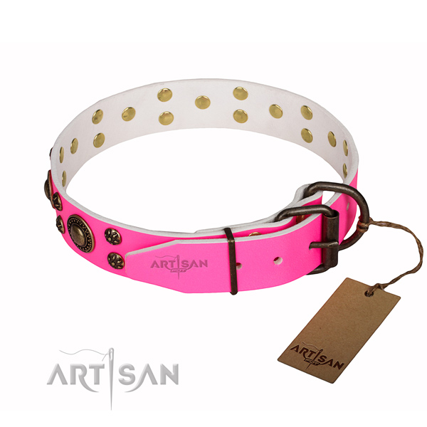 Amazing full grain leather dog collar for everyday use