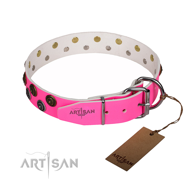 Amazing full grain natural leather dog collar for walking