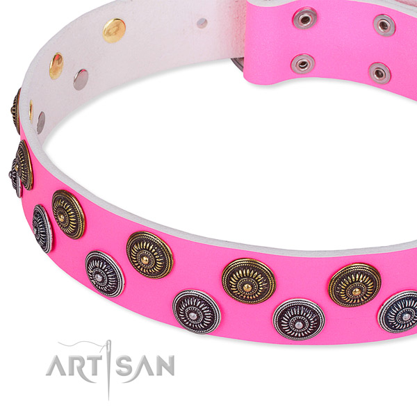 Full grain leather dog collar with trendy studs