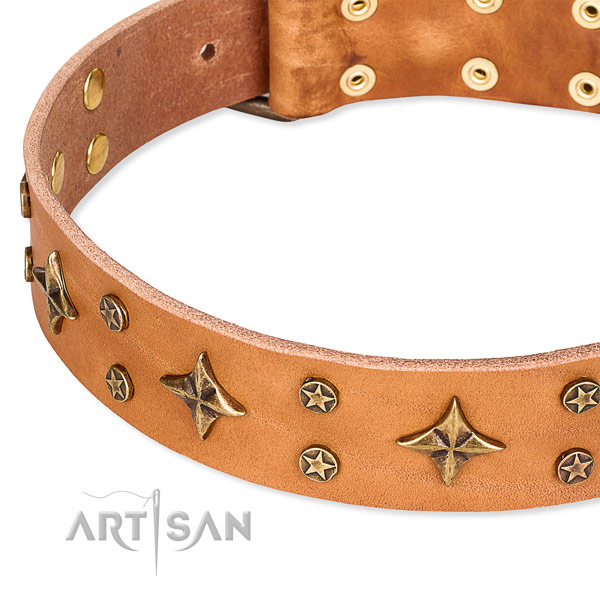 Full grain genuine leather dog collar with remarkable adornments