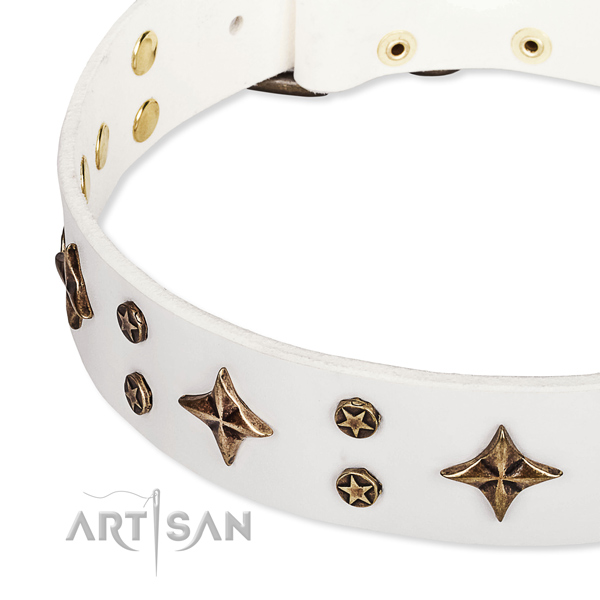 Full grain natural leather dog collar with incredible studs