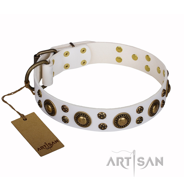 Everyday use full grain natural leather collar with embellishments for your dog