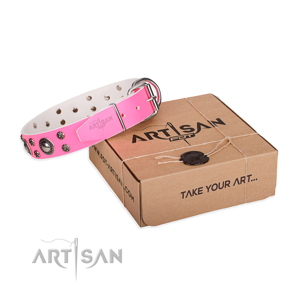 Awesome natural genuine leather dog collar for daily walking