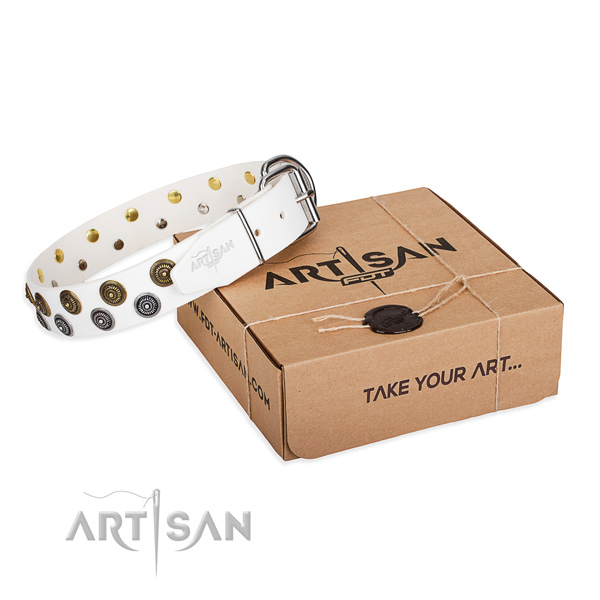 Full grain genuine leather dog collar with embellishments for walking