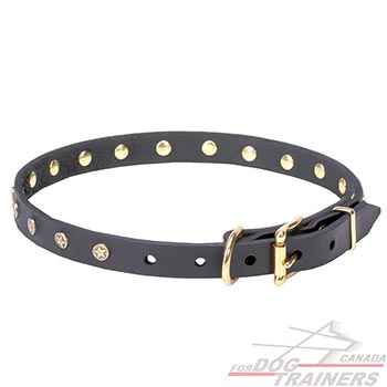 Brass hardware for thin leather dog collar