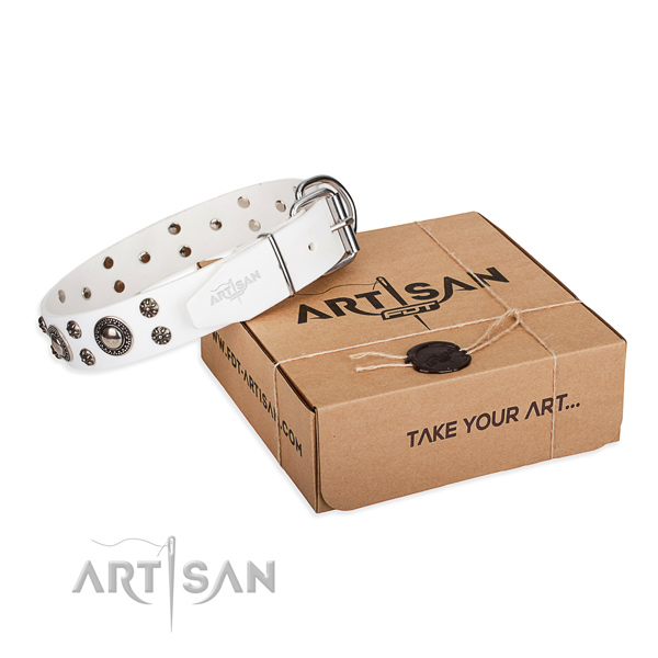 Trendy full grain natural leather dog collar for everyday use