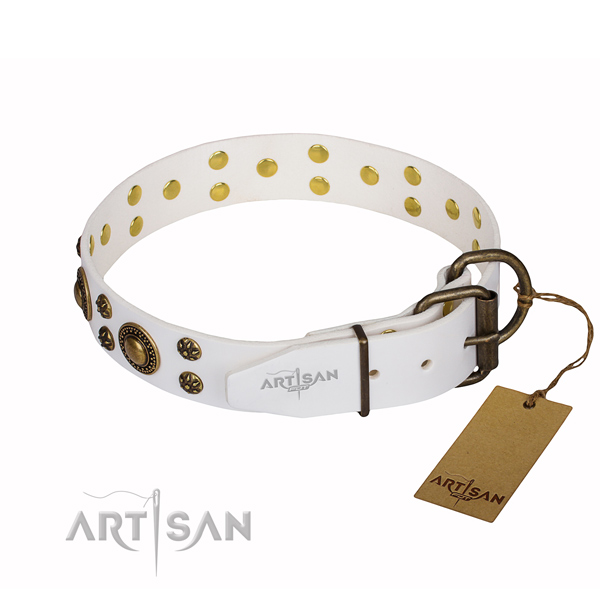 Trendy natural genuine leather dog collar for stylish walking