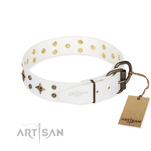 Stylish walking leather collar with adornments for your dog