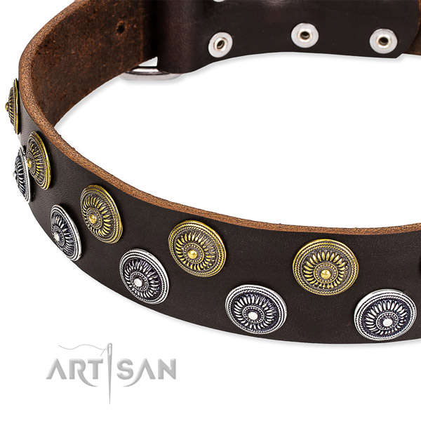 Genuine leather dog collar with unusual embellishments