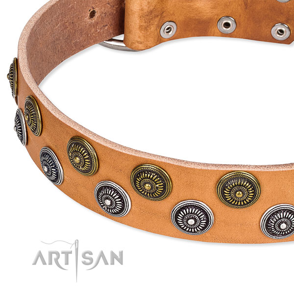 Genuine leather dog collar with unusual embellishments