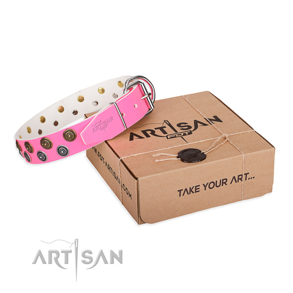 Embellished full grain leather dog collar for daily use