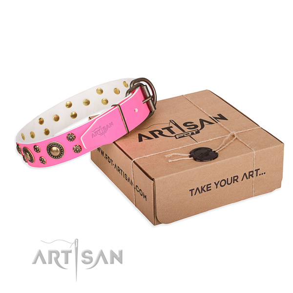 Genuine leather dog collar with studs for everyday use