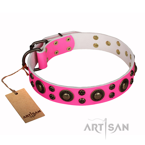 Everyday use leather collar with embellishments for your pet