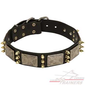 Dog leather collar with spikes, plates