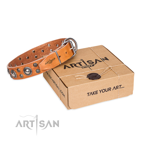 Stylish genuine leather dog collar for stylish walks