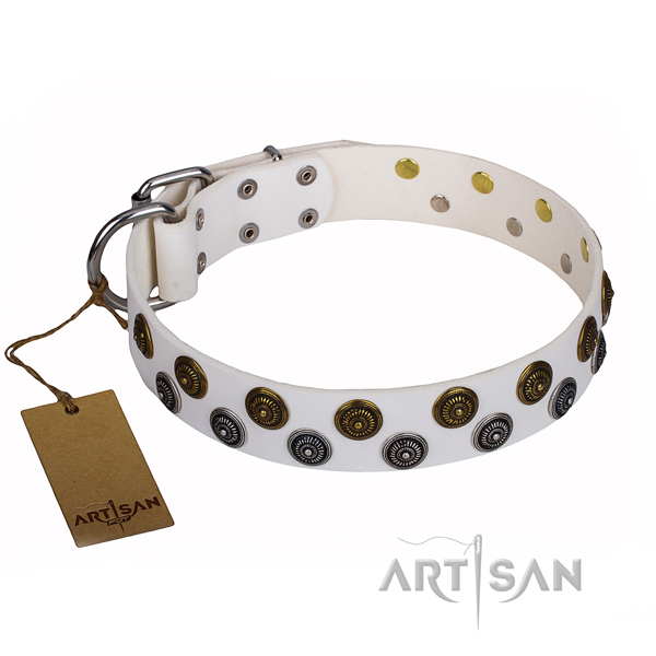 Incredible full grain leather dog collar for everyday use