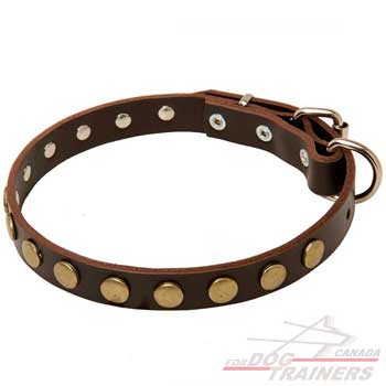 Leather dog collar with leash attachment