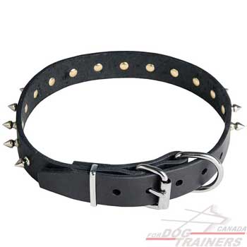 Leather collar for dogs with ruat-proofed hardware