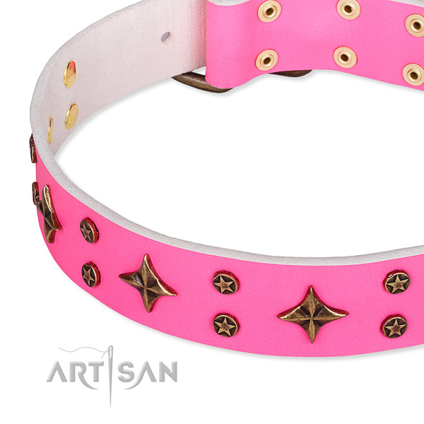 Full grain natural leather dog collar with inimitable decorations